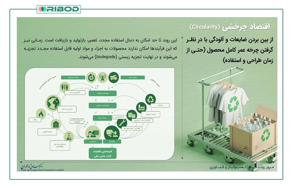 اقتصاد چرخشی